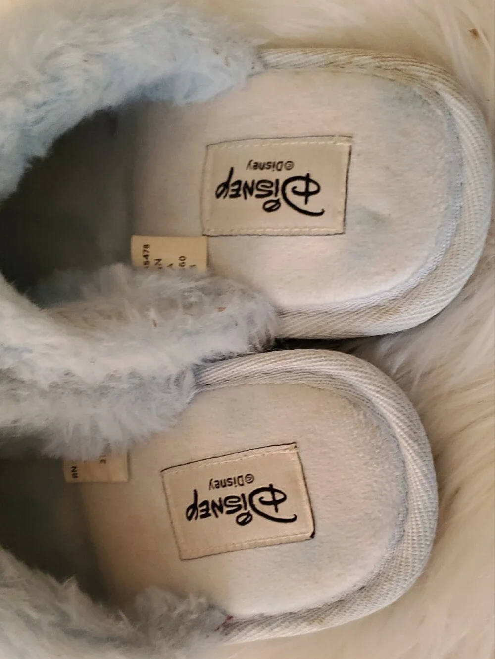 Disney pair light